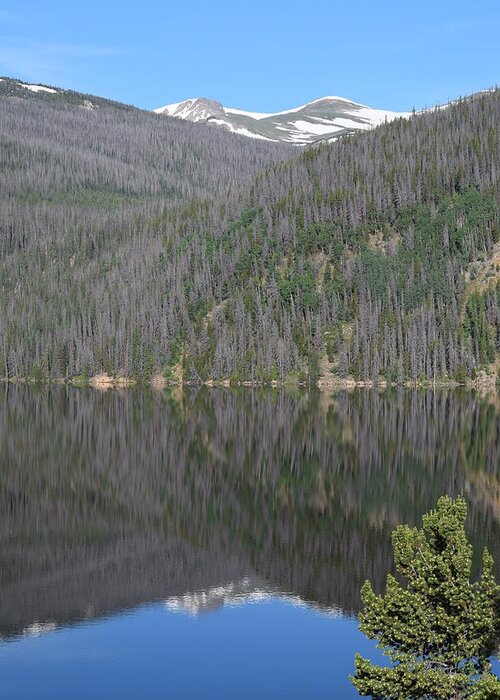 Mountains Greeting Card featuring the photograph Chambers Lake Reflection Hwy 14 CO by Margarethe Binkley