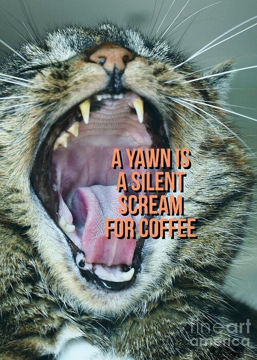 Yawn Greeting Card featuring the photograph A yawn is a silent scream for coffee #2 by Edward Fielding