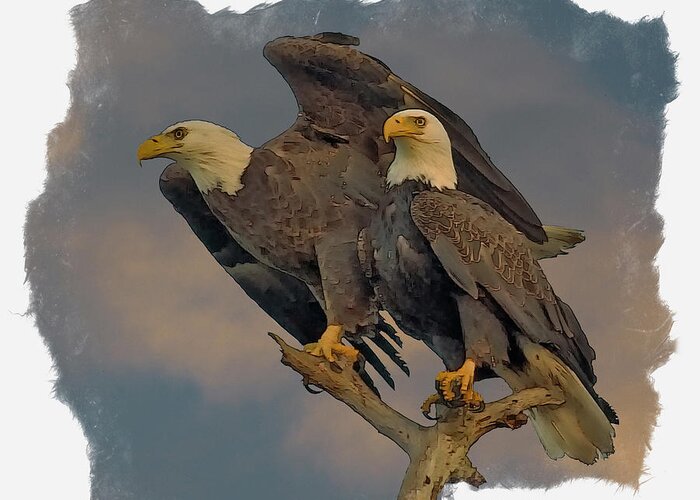 American Bald Eagle Greeting Card featuring the digital art American Bald Eagle Pair #1 by Larry Linton