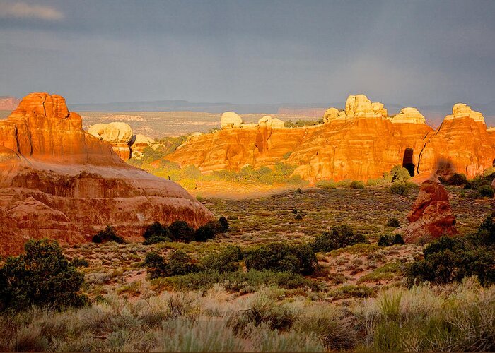 Arches National Park Greeting Card featuring the photograph Arches National Park, Utah #1 by John Daly