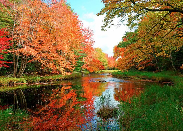 Autumn Greeting Card featuring the photograph Autumn on the Mersey River, Kejimkujik National Park, Nova Scotia, Canada #1 by Gary Corbett