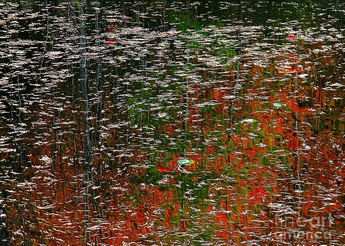 Water Greeting Card featuring the photograph Autumnal #1 by Elfriede Fulda