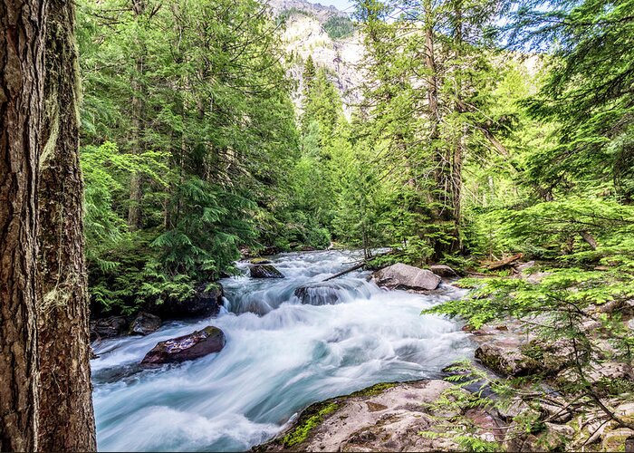 Avalanche Creek Greeting Card featuring the photograph Avalanche Creek Glacier National Park by Donald Pash