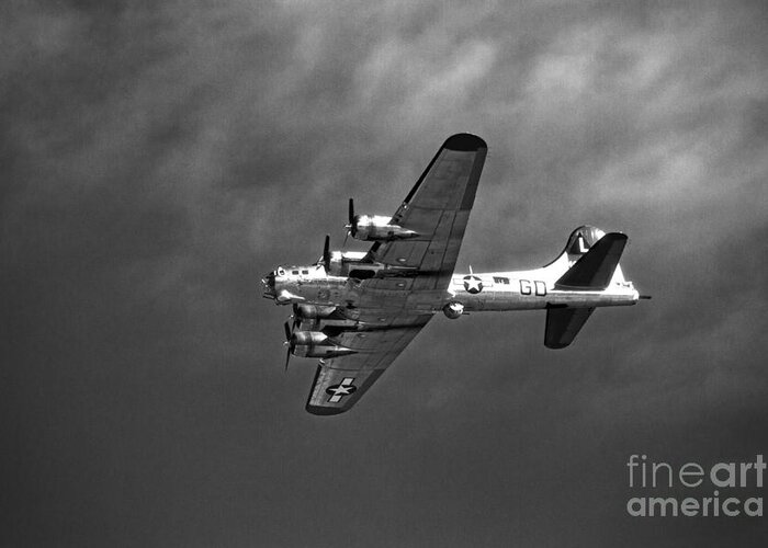 B17 Greeting Card featuring the photograph B-17 Bomber - Infrared #1 by Thanh Tran