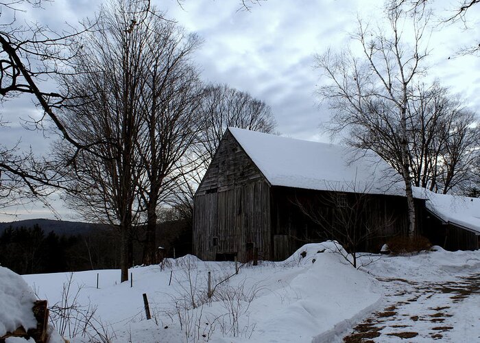 Scenic Greeting Card featuring the photograph Barn in Winter #1 by Lois Lepisto
