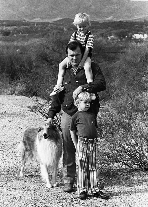 Barry Sadler With Sons Family Collie Tucson Arizona 1971 Greeting Card featuring the photograph Barry Sadler With Sons And Family Collie Tucson Arizona 1971 #2 by David Lee Guss