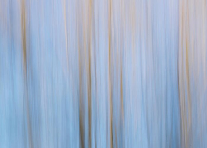 Abstract Photography Greeting Card featuring the photograph Blue and Brown by Liz Albro
