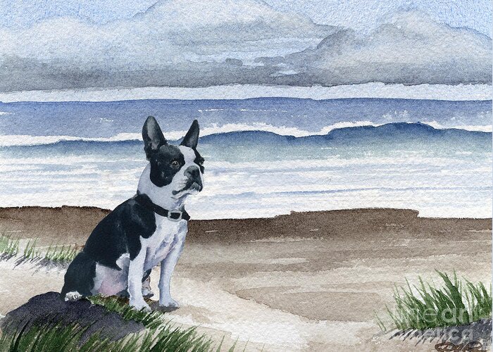 Boston Terrier Greeting Card featuring the painting Boston Terrier At The Beach #2 by David Rogers