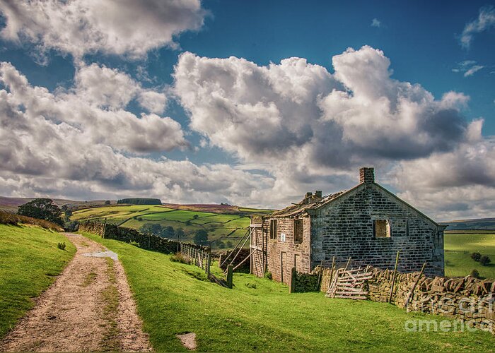 Airedale Greeting Card featuring the photograph Bronte Walk by Mariusz Talarek