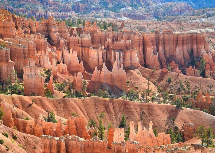 Bryce Canyon National Park Greeting Card featuring the photograph Bryce Canyon's Queen Garden #2 by Ray Mathis