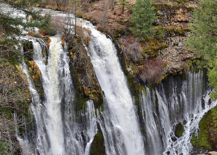 Burney Falls Greeting Card featuring the photograph Burney Falls #1 by Maria Jansson
