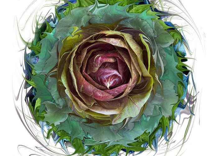 Culinary Greeting Card featuring the photograph Cabbage #1 by Bruce Frank