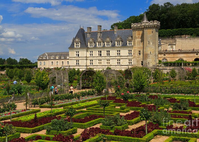 Potager Greeting Card featuring the photograph Chateau de Villandry #1 by Louise Heusinkveld