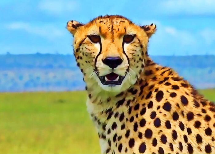 Cheetah Greeting Card featuring the photograph Cheetah #1 by Gini Moore