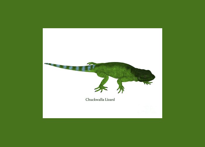 Chuckwalla Greeting Card featuring the digital art Chuckwalla Lizard Side Profile #1 by Corey Ford