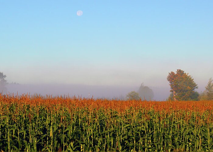 Cornfield Greeting Card featuring the photograph Cornfield Moonset by Brian O'Kelly