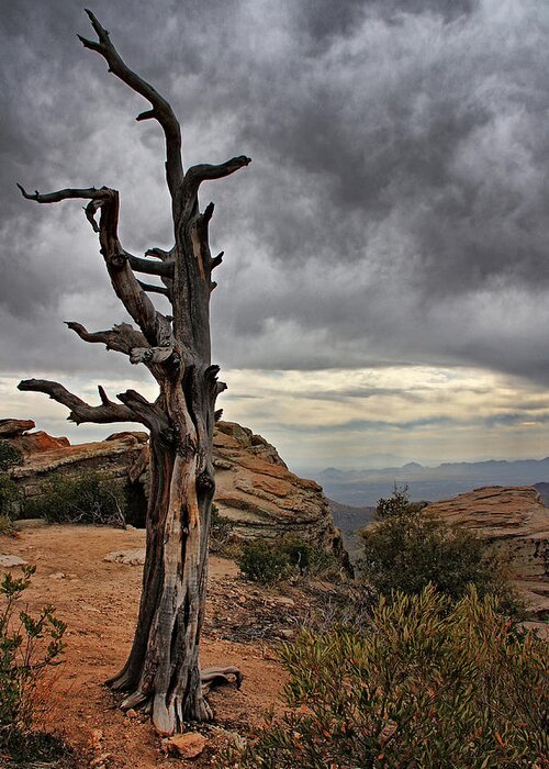 Mount Lemmon Greeting Card featuring the photograph Crags and Crooks II #1 by Leda Robertson