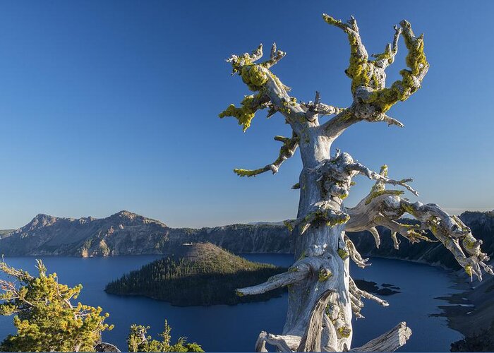 Usa Greeting Card featuring the photograph Crater Lake #1 by Christian Heeb