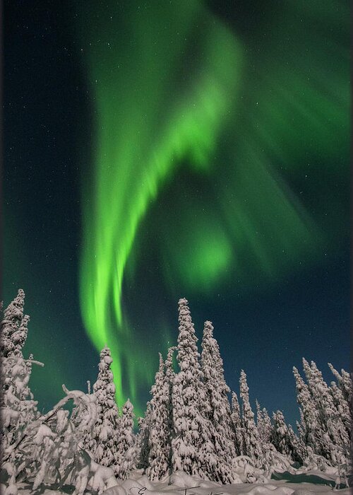 Aurora Greeting Card featuring the photograph Dancing in the night #1 by Erika Fawcett