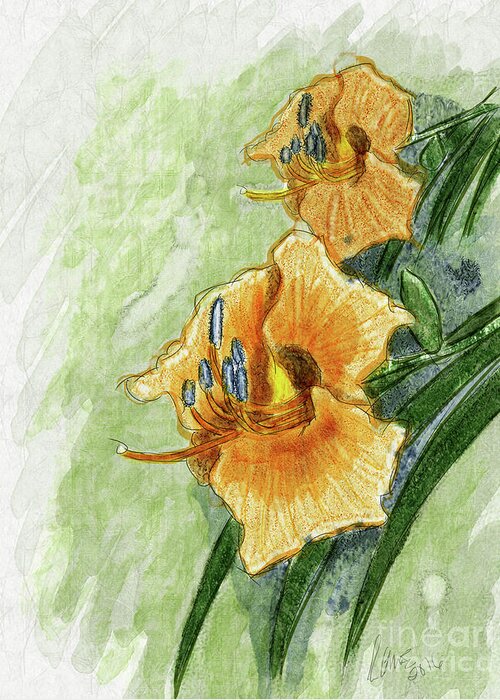 Floral Greeting Card featuring the digital art Daylily #2 #1 by Jon Munson II