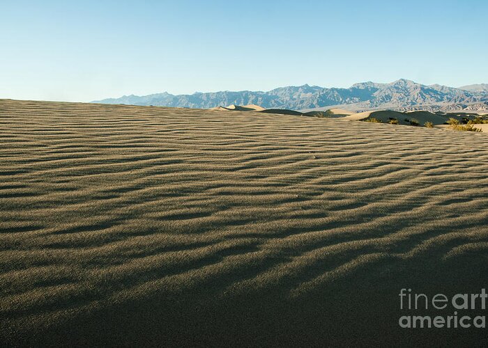 Dunes Greeting Card featuring the photograph Death Valley 13 #1 by Micah May