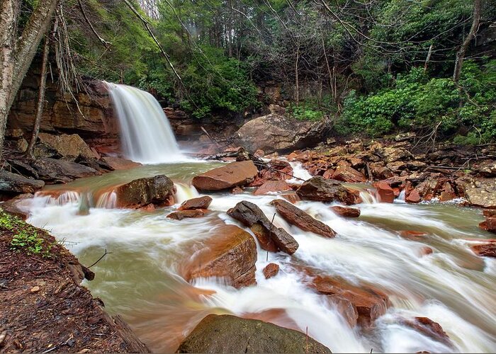 Landscape Greeting Card featuring the photograph Douglas Falls #1 by Chris Berrier