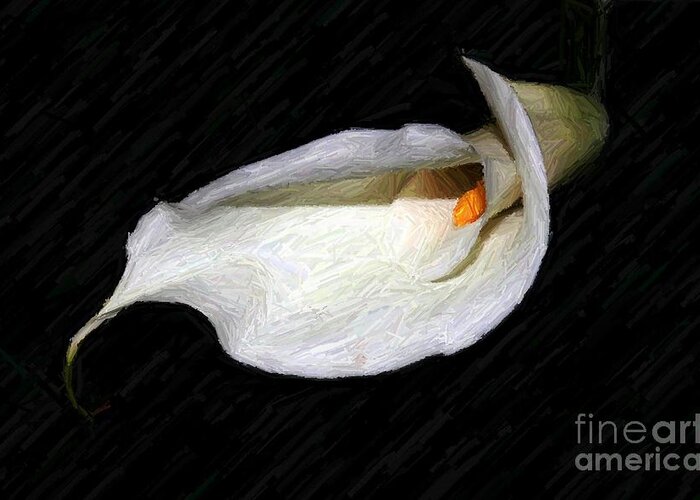 Flower Greeting Card featuring the photograph Fading Beauty by Margaret Hamilton