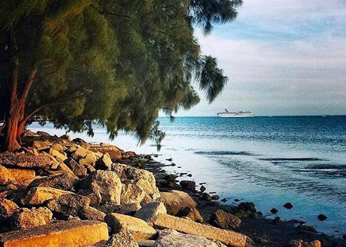 Beautiful Greeting Card featuring the photograph Warm Ocean Breeze by Janel Cortez