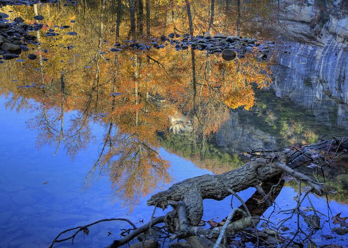 Big Bluff Greeting Card featuring the photograph Fall Color at Big Bluff #1 by Michael Dougherty