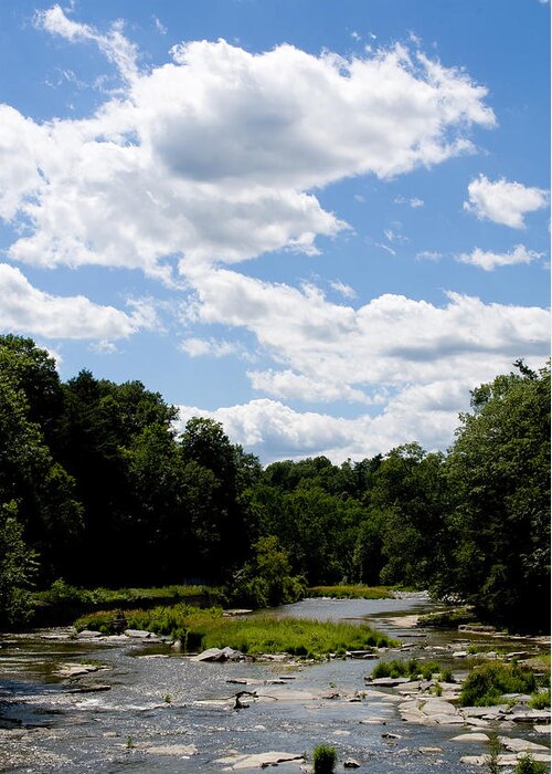 Ithacastock.com Greeting Card featuring the photograph Fall Creek Summer #1 by Monroe Payne