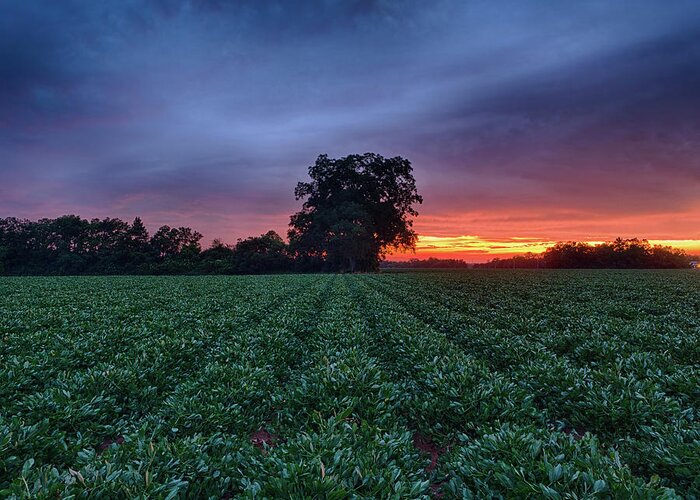 Farm Greeting Card featuring the photograph Farm Sunset by Brad Boland