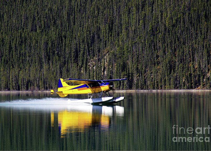 Airplane Greeting Card featuring the photograph Floatplane Landing #1 by Don Siebel