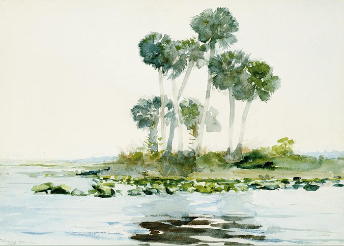 St. Johns River Greeting Card featuring the painting Florida #1 by Winslow Homer