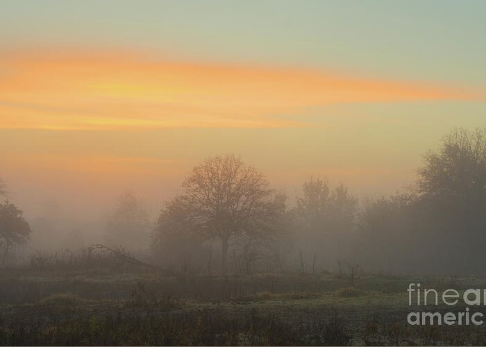 Sunrise Greeting Card featuring the photograph Foggy Sunrise #1 by Sari ONeal