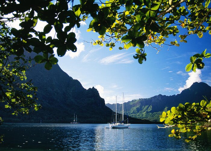 Across Greeting Card featuring the photograph French Polynesia, Moorea #1 by Dana Edmunds - Printscapes