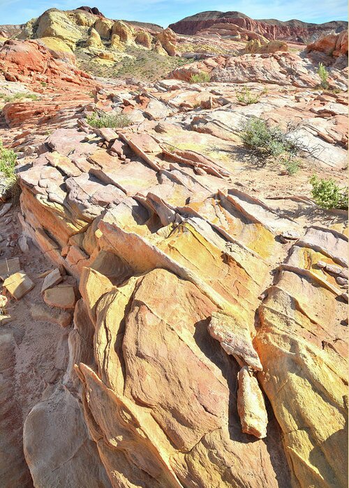 Valley Of Fire State Park Greeting Card featuring the photograph Gold Vein in Valley of Fire #1 by Ray Mathis