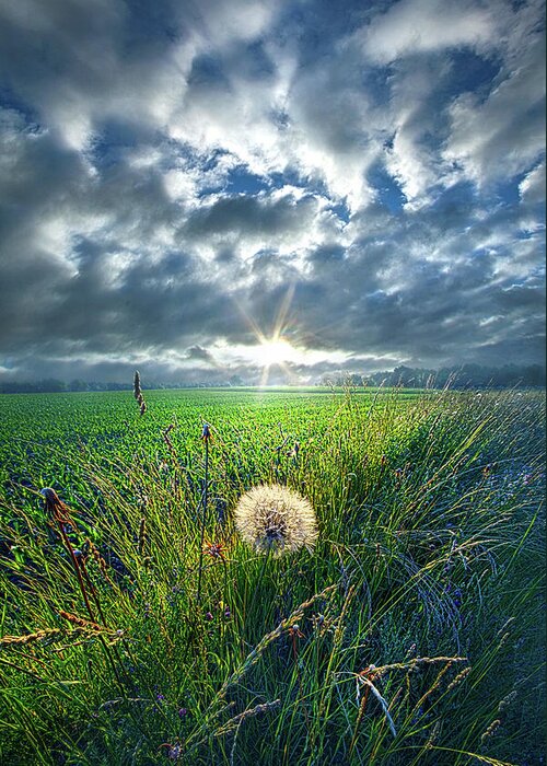 Summer Greeting Card featuring the photograph Good Day Sunshine #1 by Phil Koch
