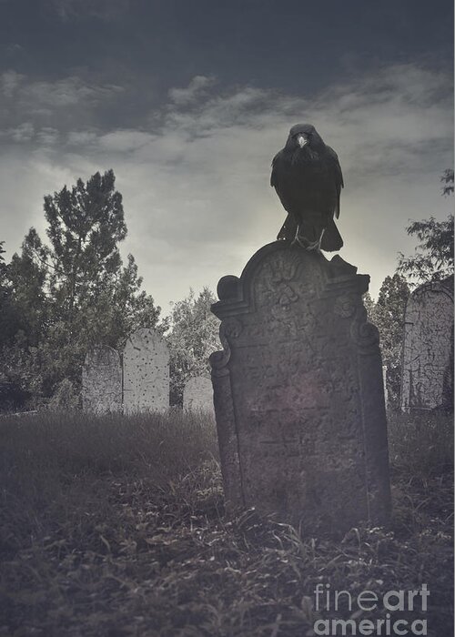 Graveyard Greeting Card featuring the photograph Graveyard by Jelena Jovanovic