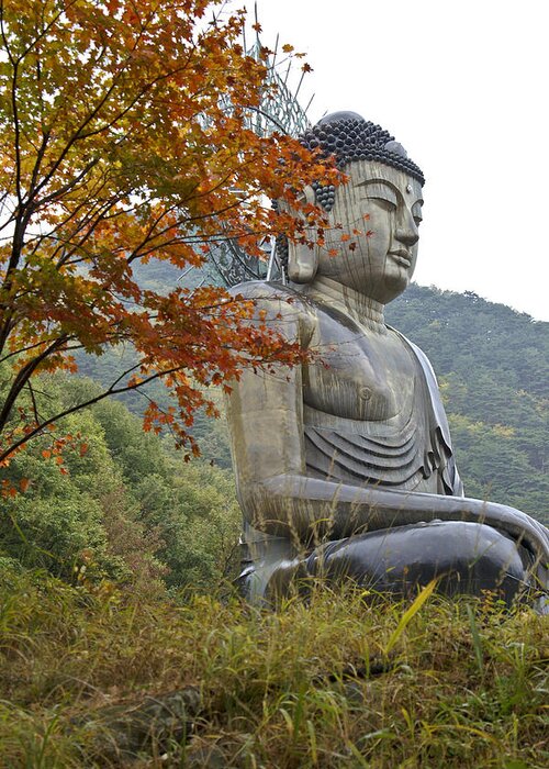 Buddha Greeting Card featuring the photograph Great Buddha in Autumn #1 by Michele Burgess