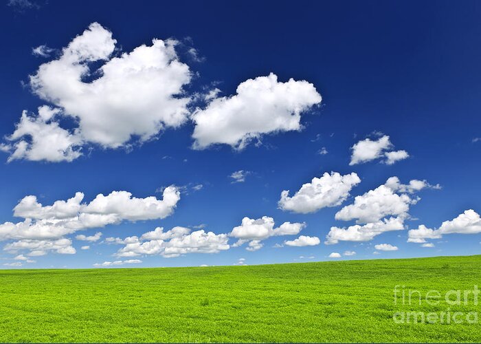 Field Greeting Card featuring the photograph Green fields under blue sky by Elena Elisseeva