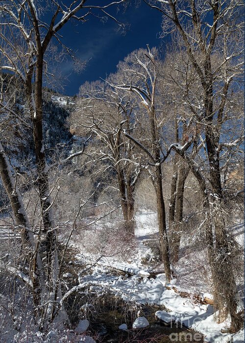 Glenwood Canyon Greeting Card featuring the photograph Grizzly Creek #1 by Jim West
