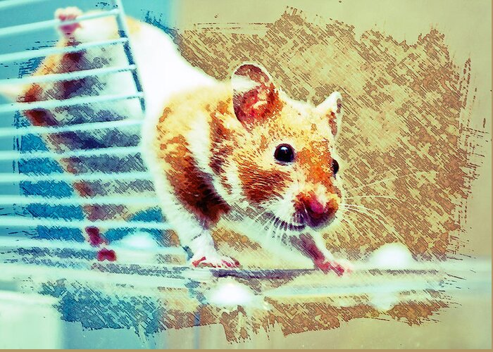 Animal Greeting Card featuring the photograph Hamster #1 by Tom Gowanlock