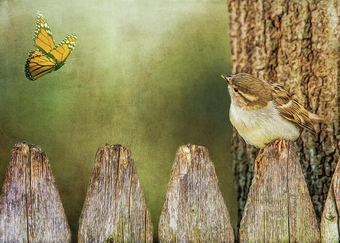 Sparrow Greeting Card featuring the photograph Hello #1 by Cathy Kovarik