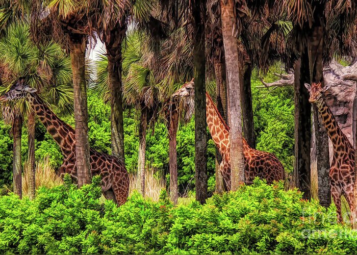 Giraffe Greeting Card featuring the photograph Hide And Seek #2 by Paulette Thomas