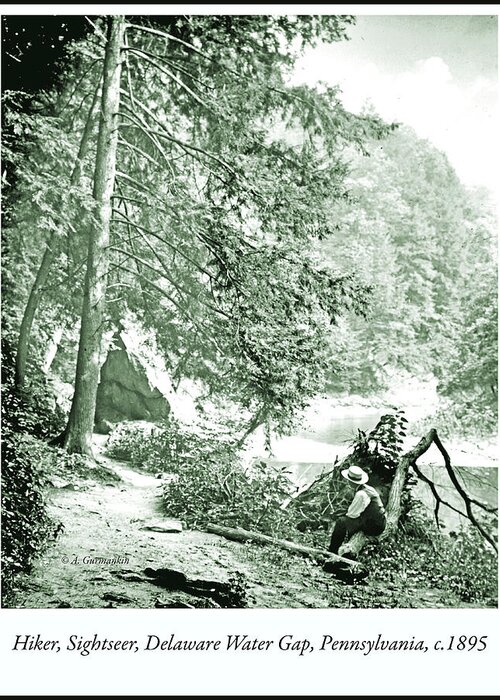 Recreation Area Greeting Card featuring the photograph Hiker, Sightseer, Delaware Water Gap, Pennsylvania, c.1895 #1 by A Macarthur Gurmankin