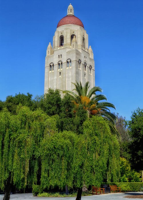 Stanford University Greeting Card featuring the photograph Hoover Tower - Stanford University #1 by Mountain Dreams