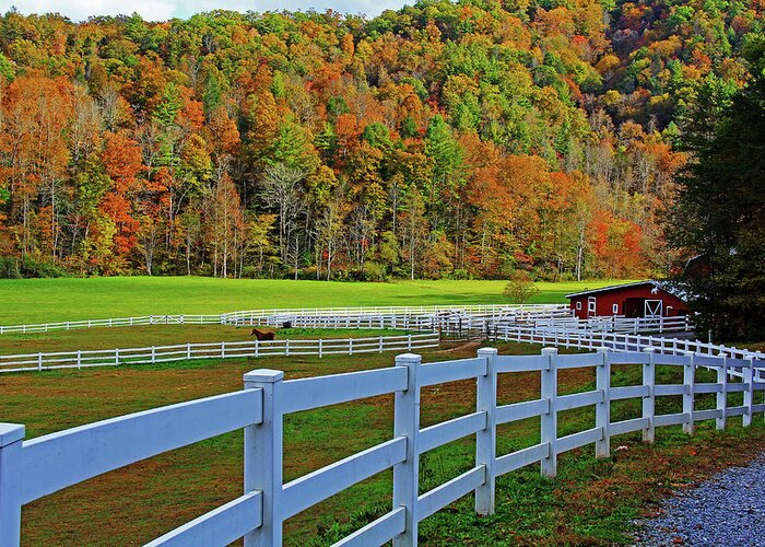 Horse Greeting Card featuring the photograph Horse Farm by Richard Krebs