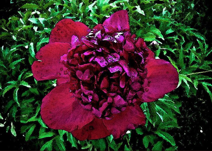 Peony Greeting Card featuring the digital art In My Garden #1 by Pam Ellis