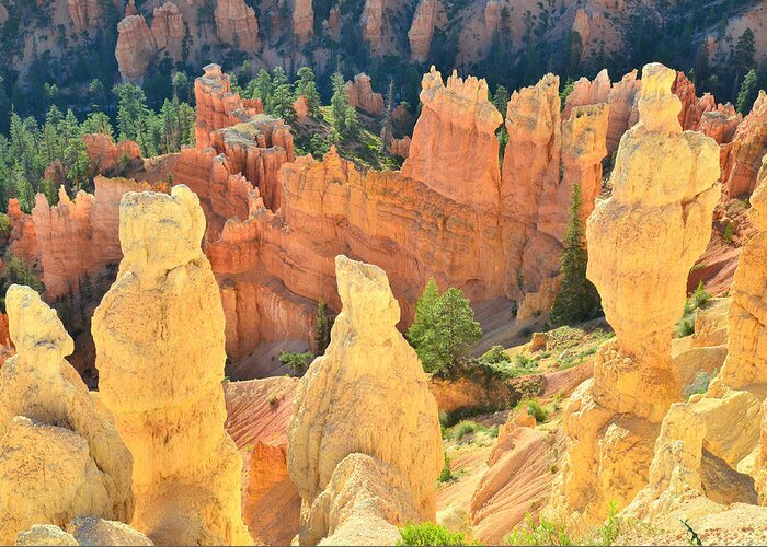 Bryce Canyon National Park Greeting Card featuring the photograph Inspiration Hoodoos #2 by Ray Mathis