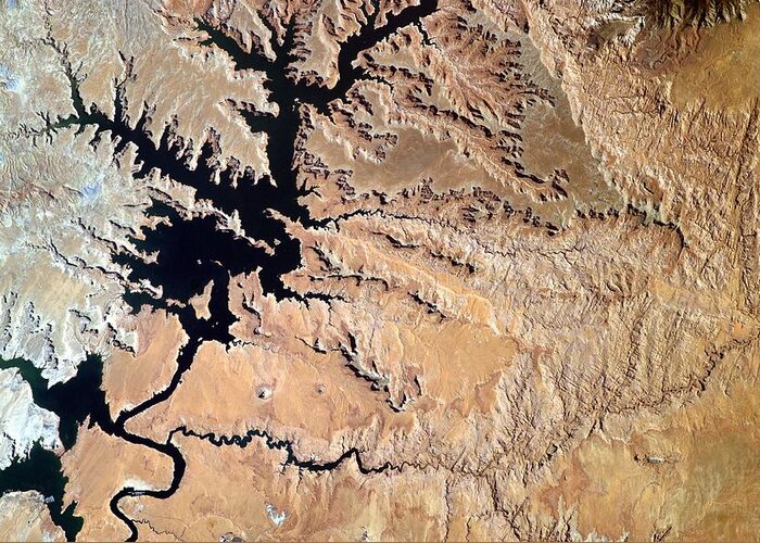 Landscape Greeting Card featuring the painting Lake Powell From the Space Stations EarthKAM #1 by Celestial Images